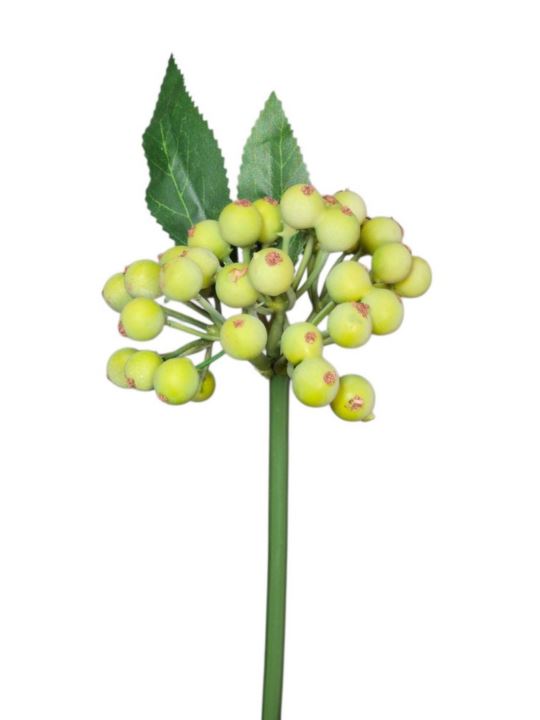 JARZĘBINA PIK 25CM GREEN