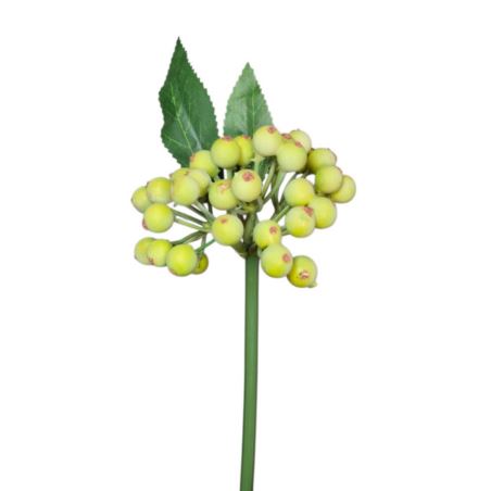 JARZĘBINA PIK 25CM GREEN