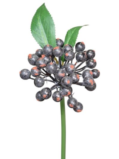 JARZĘBINA PIK 25CM BLACK BLUE