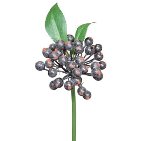 JARZĘBINA PIK 25CM BLACK BLUE