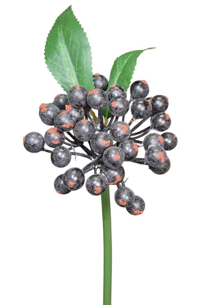 JARZĘBINA PIK 25CM BLACK BLUE