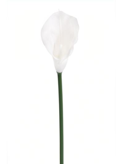 CALLA GUMA 72 CM ANA1013 WHITE