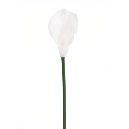 CALLA GUMA 72 CM ANA1013 WHITE