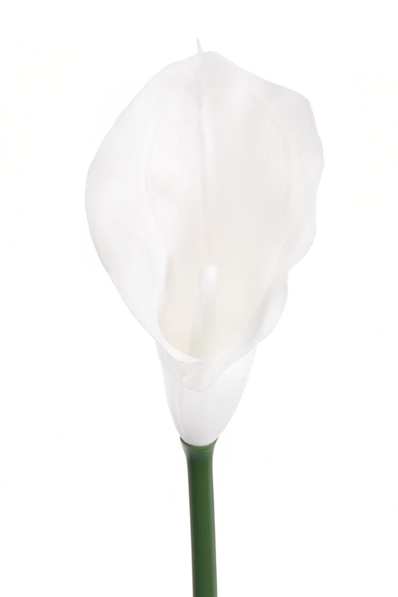 CALLA GUMA 72 CM ANA1013 WHITE