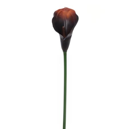 CALLA GUMA 72 CM ANA1013 BURN BROWN