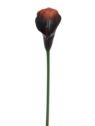 CALLA GUMA 72 CM ANA1013 BURN BROWN