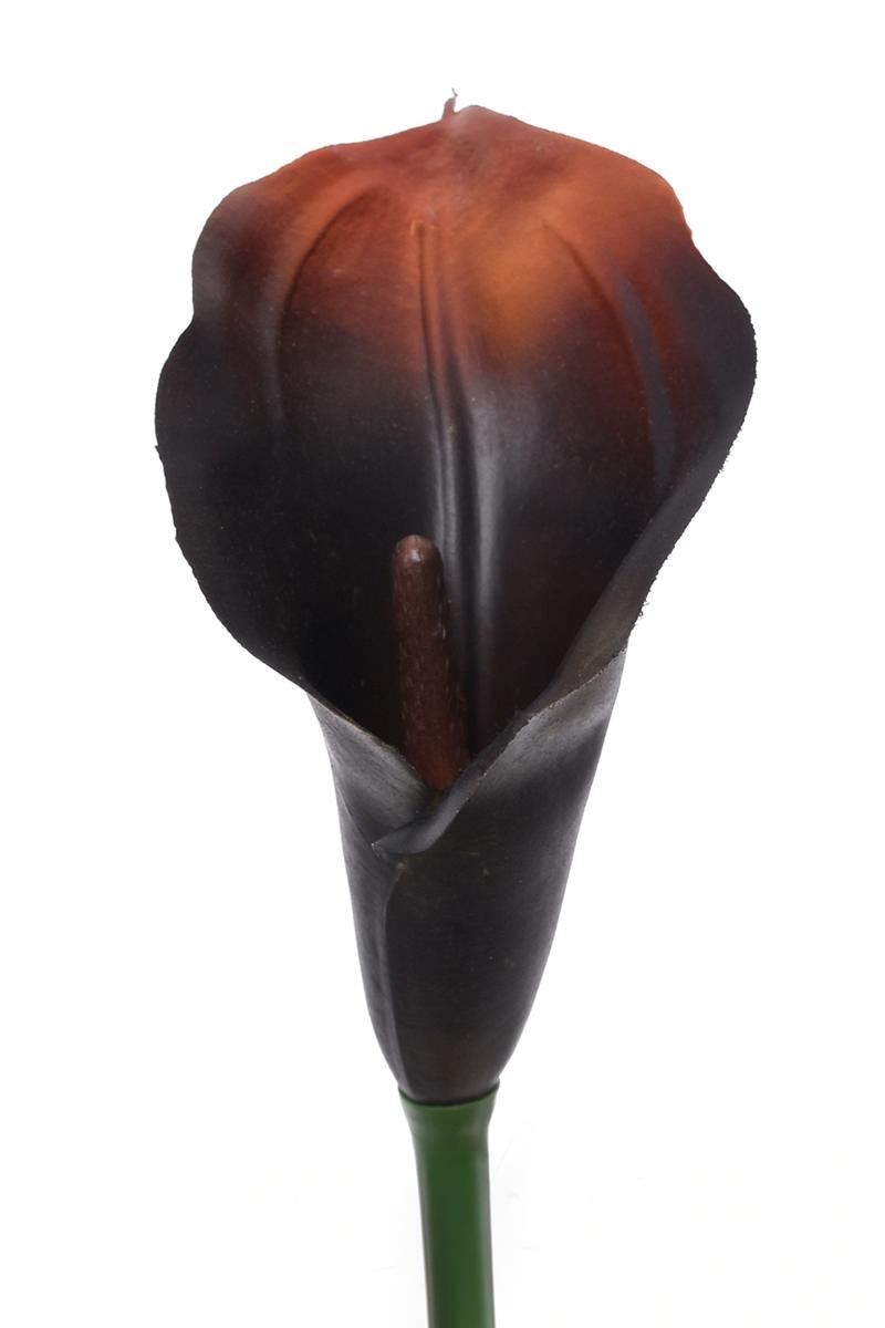 CALLA GUMA 72 CM ANA1013 BURN BROWN