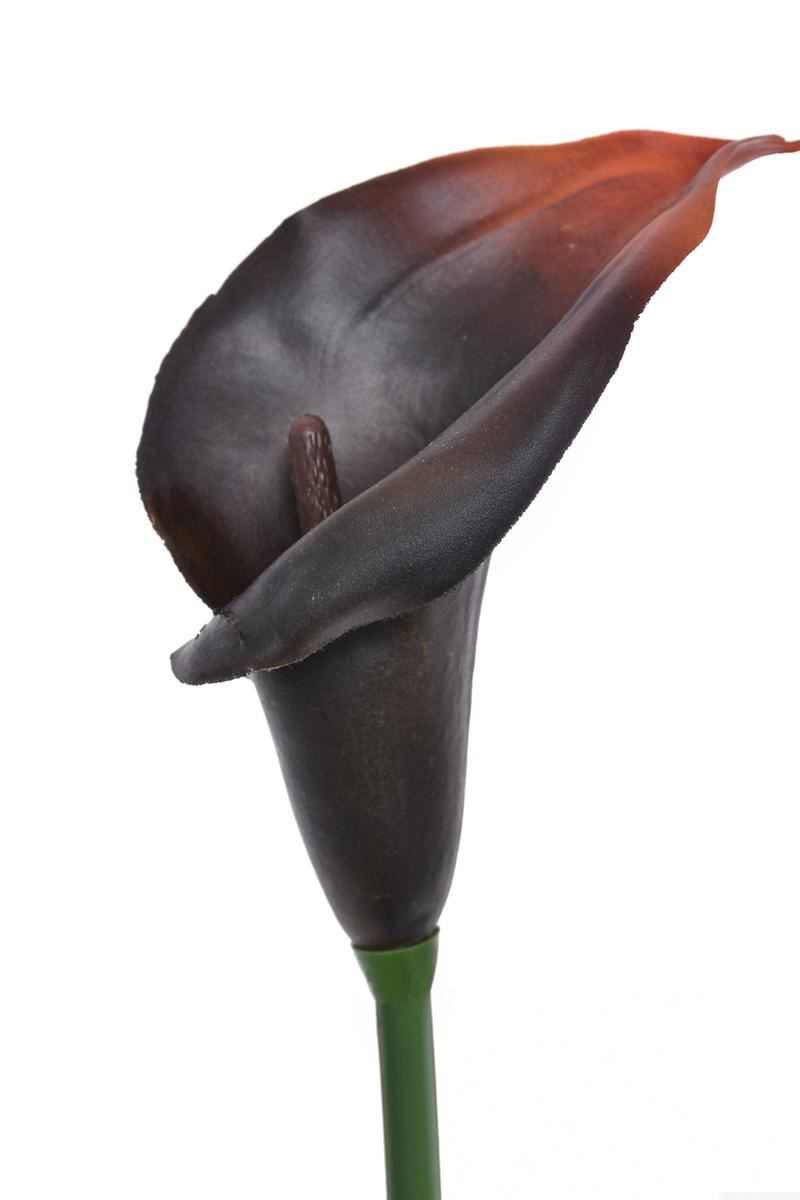 CALLA GUMA 72 CM ANA1013 BURN BROWN