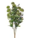 CZOSNEK BUKIET Z DODATKAMI 48CM GREEN PURPLE