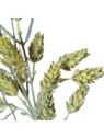 CHMIEL GAŁĄZKA 65CM POWDER GREEN