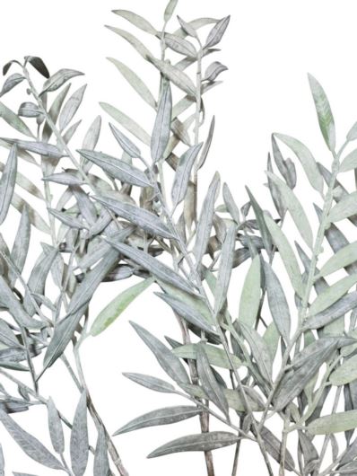 OLIWKA GAŁĄZKA LIŚCIE 100CM POWDERED GREEN GREY