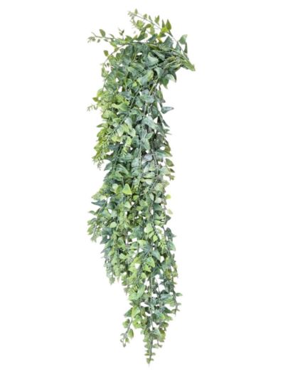 PAPROĆ WĄSKOLISTNA ZWIS 80CM GREEN