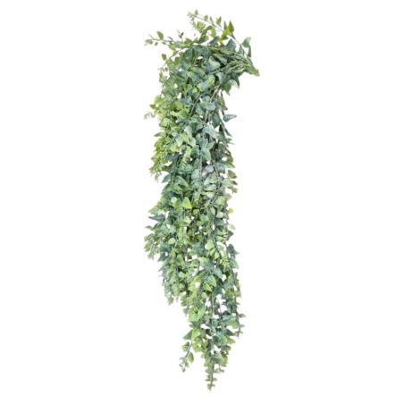 PAPROĆ WĄSKOLISTNA ZWIS 80CM GREEN