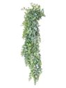 PAPROĆ WĄSKOLISTNA ZWIS 80CM GREEN