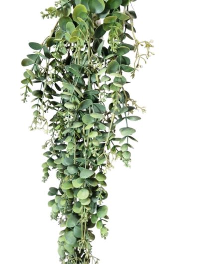 EUKALIPTUS PĄCZKI ZWIS 100CM GREEN