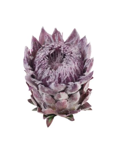 PROTEA - KARCZOCH WYS.14CM ŚR. 10CM PURPLE