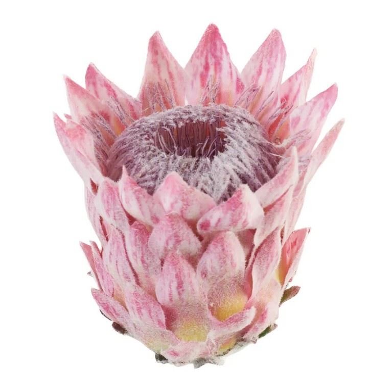 PROTEA - KARCZOCH WYS.14CM ŚR. 10CM PINK