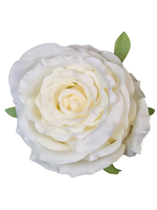 RÓŻA PEŁNA - GŁOWA WYS 8CM ŚR 8CM ZB040 CREAM