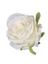 RÓŻA PEŁNA - GŁOWA WYS 8CM ŚR 8CM ZB040 CREAM