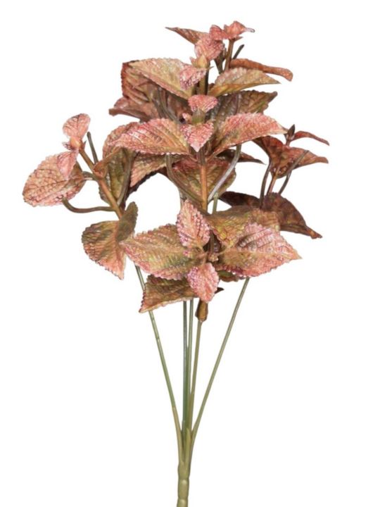 MIĘTA MINI BUKIET 31CM GREEN PINK