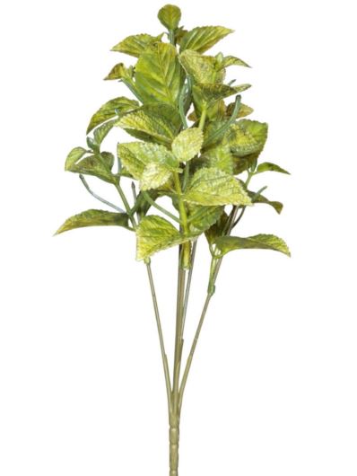 MIĘTA MINI BUKIET 31CM GREEN