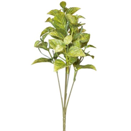 MIĘTA MINI BUKIET 31CM GREEN