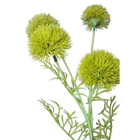 CZOSNEK ALLIUM x5 GAŁĄZKA 50CM GREEN