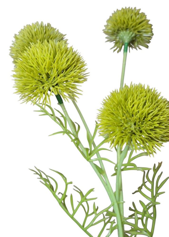 CZOSNEK ALLIUM x5 GAŁĄZKA 50CM GREEN