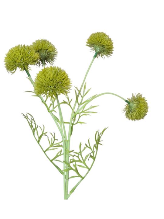 CZOSNEK ALLIUM x5 GAŁĄZKA 50CM GREEN