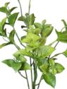 MIĘTA BUKIET DODATEK 50CM CV41321 JUCY GREEN