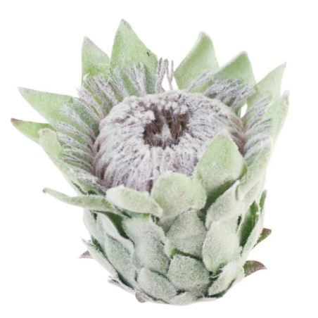 PROTEA - KARCZOCH WYS.14CM ŚR. 10CM GREEN