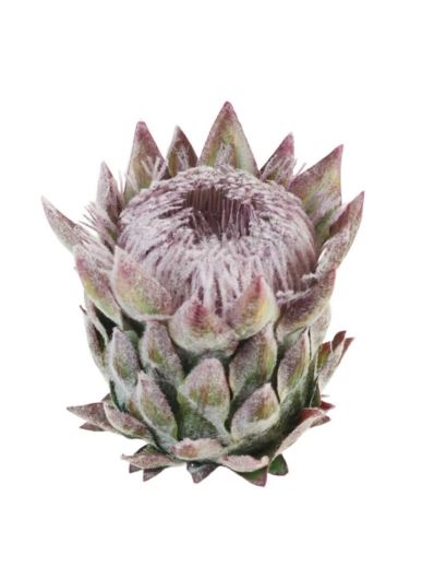 PROTEA - KARCZOCH WYS.14CM ŚR. 10CM GREEN VIOLET