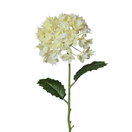 EUPHORBIA POJ. 52CM CV41975 CREAM