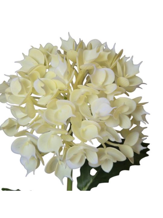 EUPHORBIA POJ. 52CM CV41975 CREAM