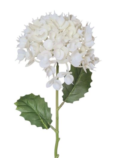 EUPHORBIA POJ. 52CM CV41975 WHITE