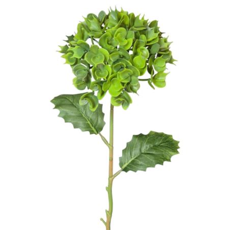 EUPHORBIA POJ. 52CM CV41975 GREEN