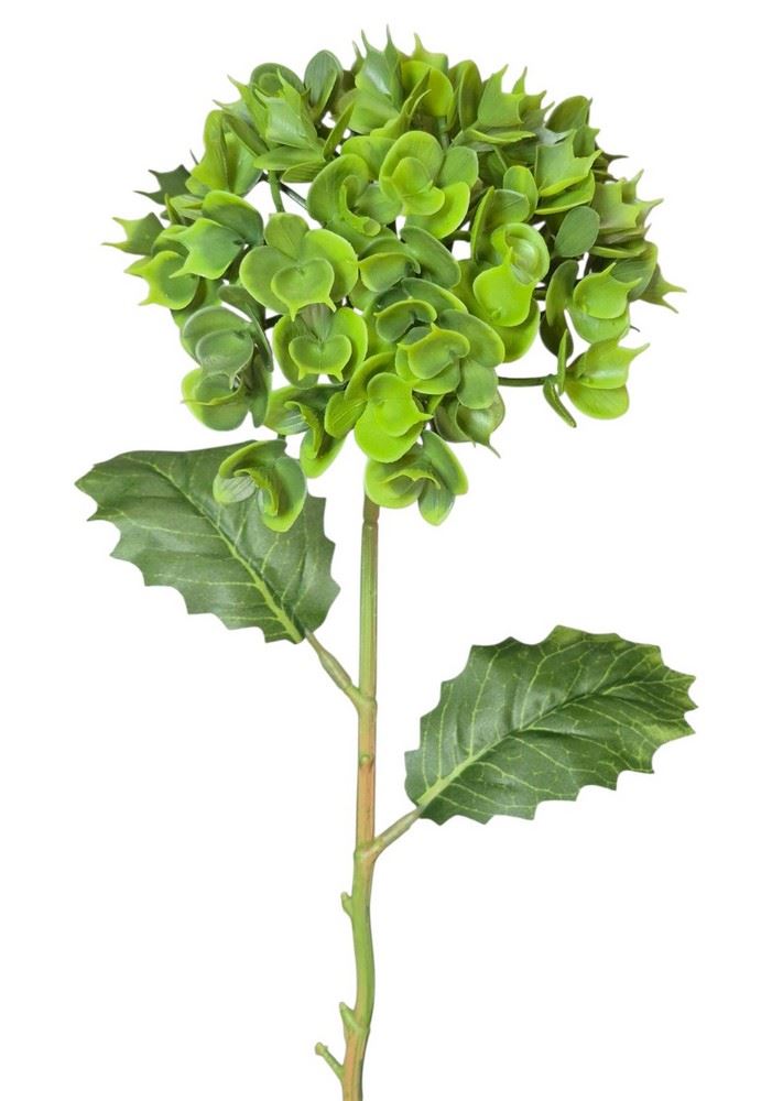 EUPHORBIA POJ. 52CM CV41975 GREEN
