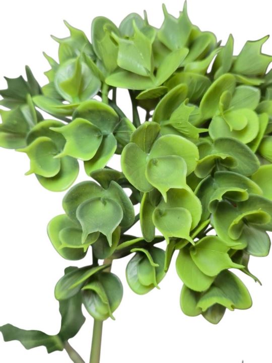 EUPHORBIA POJ. 52CM CV41975 GREEN