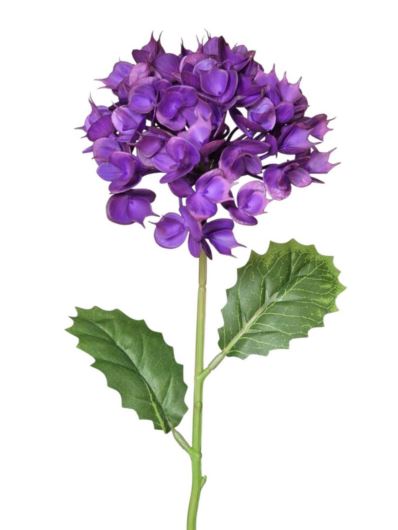 EUPHORBIA POJ. 52CM CV41975 VIOLET