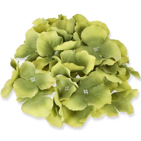 HORTENSJA GŁÓWKA 17CM / LE18 BEETROOT GREEN