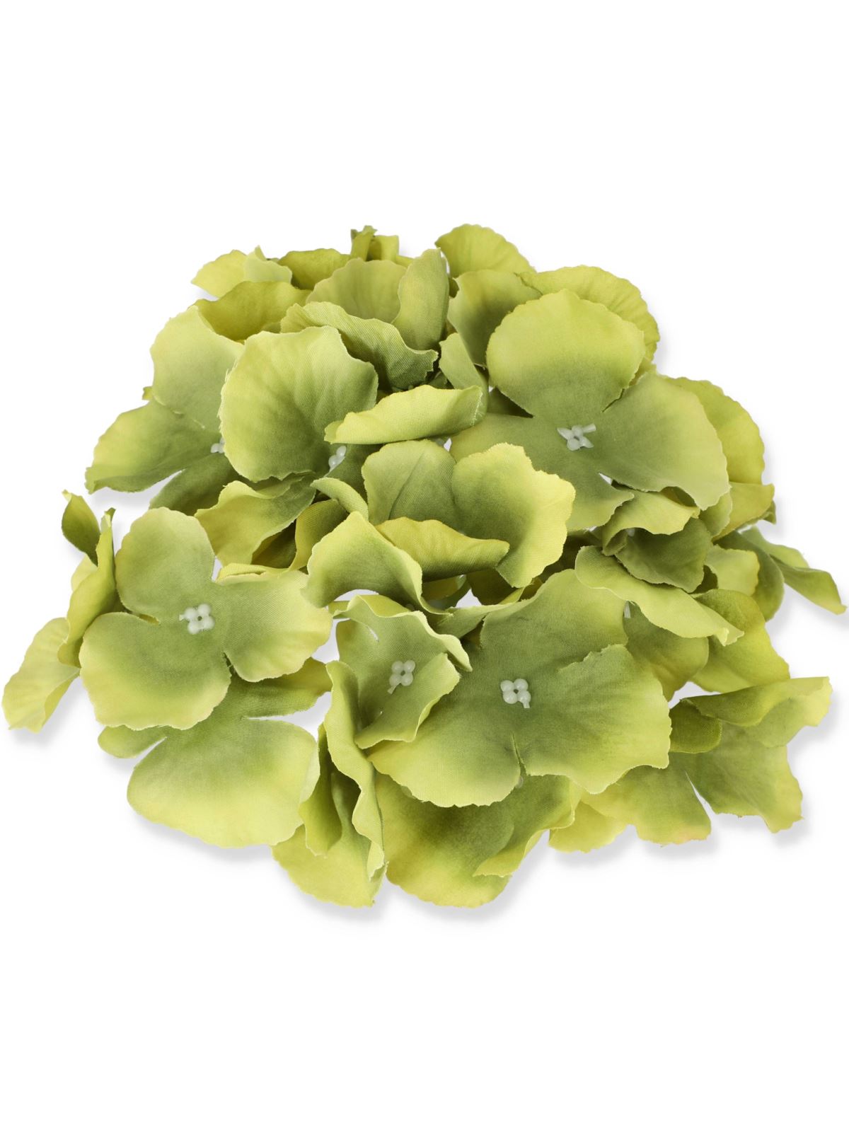 HORTENSJA GŁÓWKA 17CM / LE18 BEETROOT GREEN