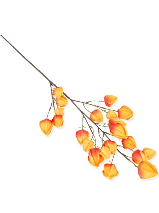 MIECHUNKA- PHISALIS GAŁĄZKA 100CM /1214 ORANGE