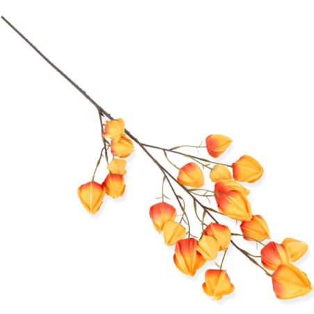 MIECHUNKA- PHISALIS GAŁĄZKA 100CM /1214 ORANGE