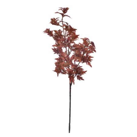 KLON JAPOŃSKI 68CM PUK1038 TEA