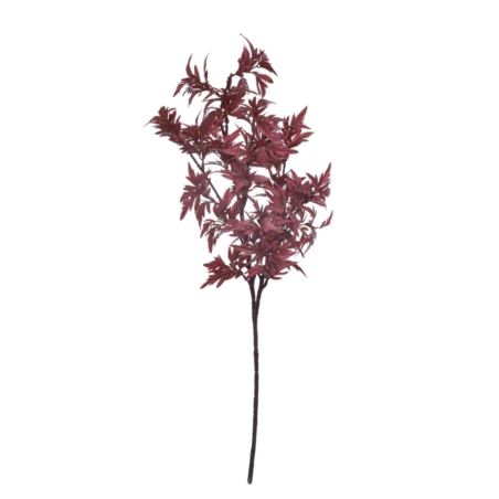 KLON JAPOŃSKI 68CM PUK1038 BEAUTY