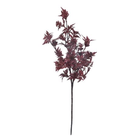 KLON JAPOŃSKI 68CM PUK1038 BURGUNDY