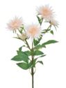 GAŁĄZKA ASTER 70CM SUN662 NEW PEACH