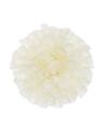 DALIA GŁÓWKA 10CM TAJ1026 CREAM