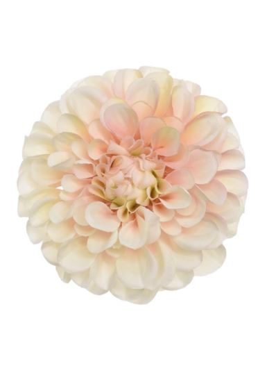 DALIA GŁÓWKA 10CM TAJ1026 CREAM PEACH