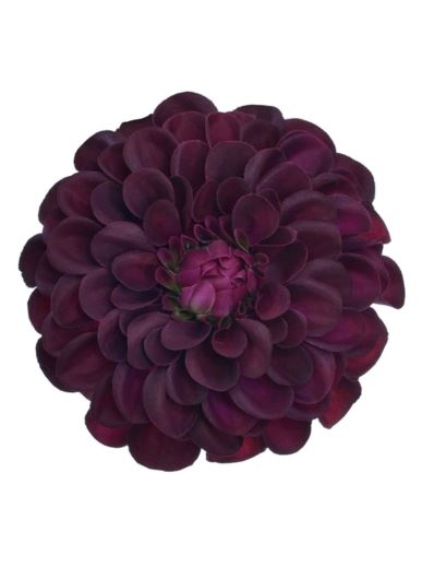DALIA GŁÓWKA 10CM TAJ1026 DR BEAUTY
